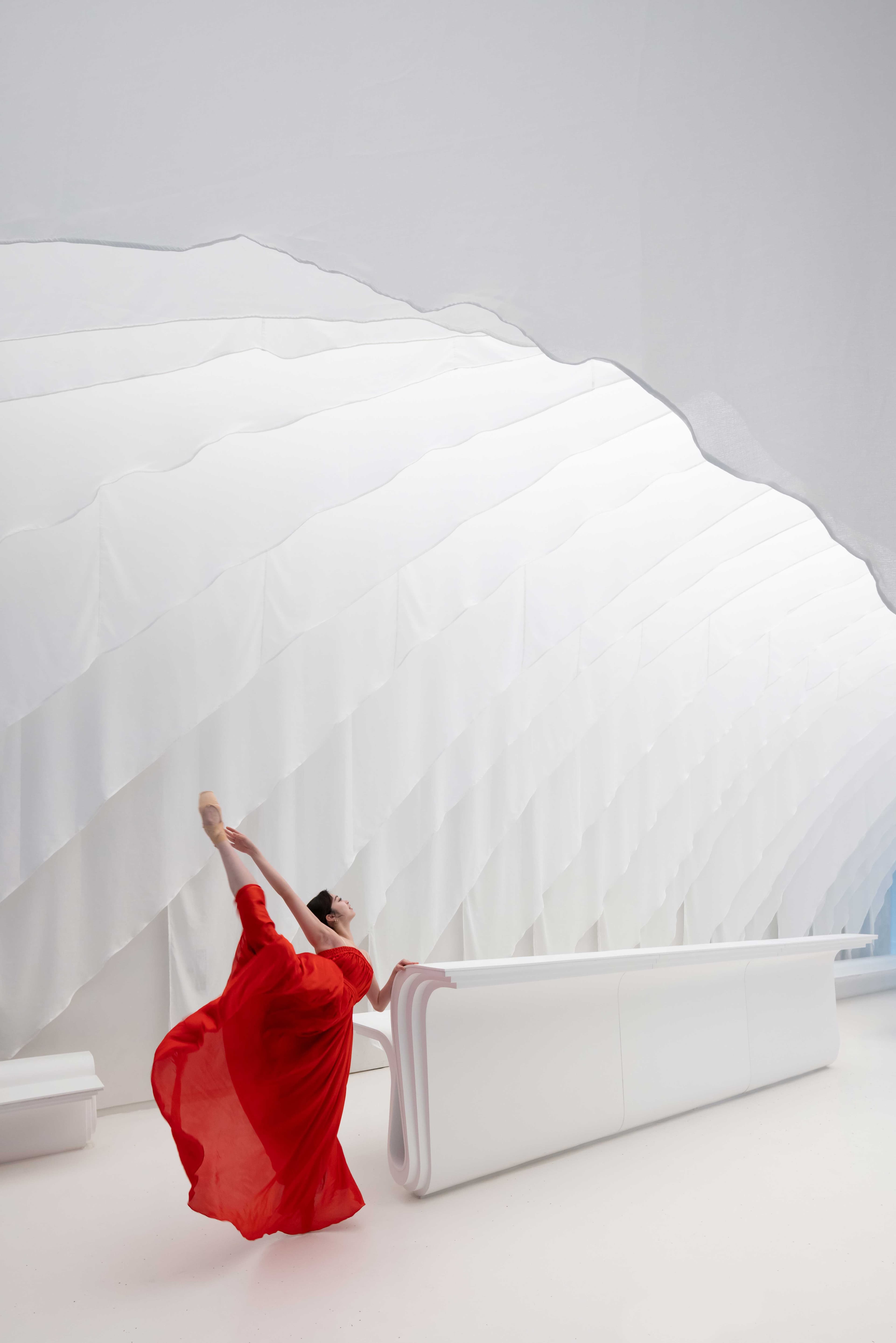 The Butterfly - Image 6