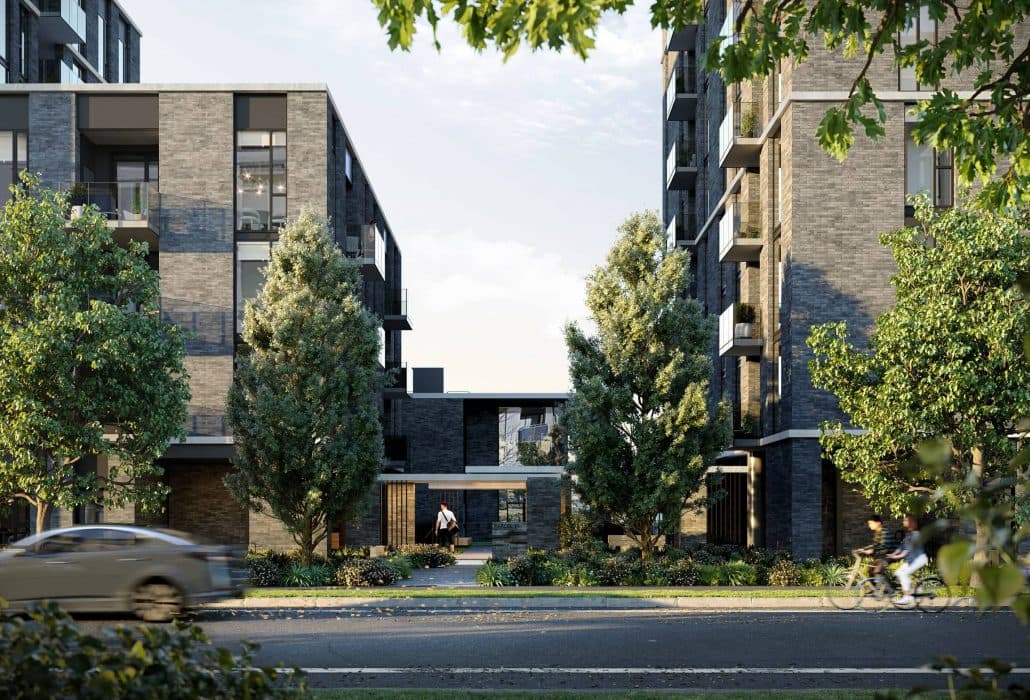 Ardea - Image 4