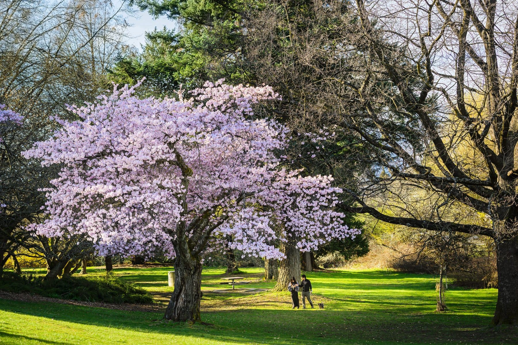 King and Columbia - Image 6