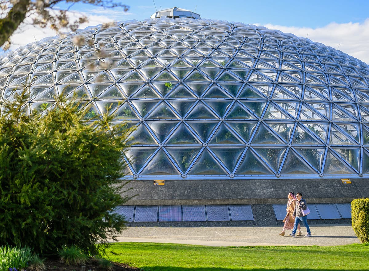 King and Columbia - Image 8