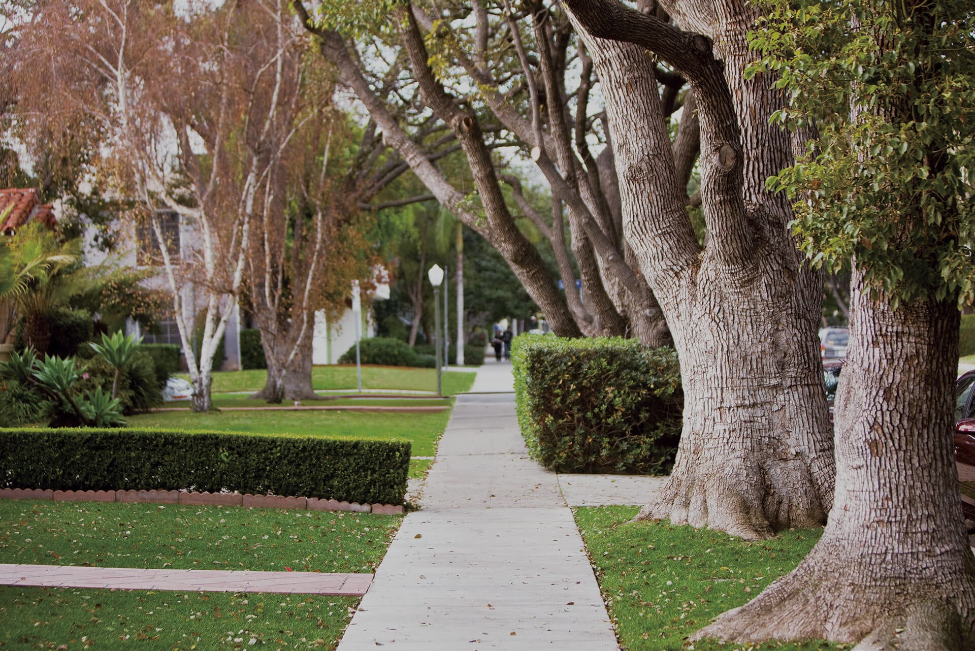 Cambie Gardens - Image 7