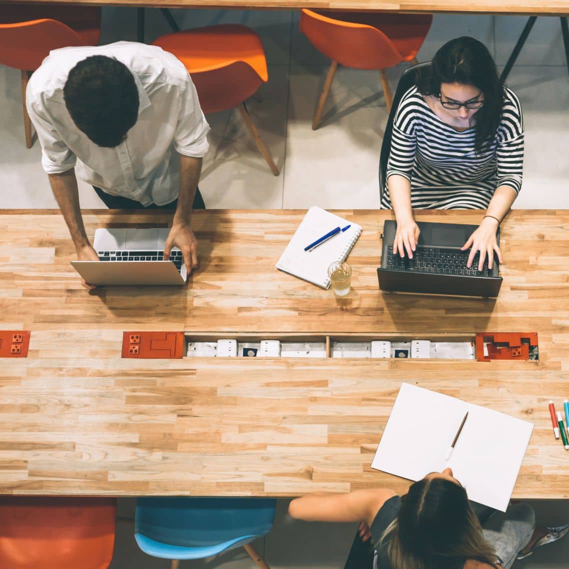 Terra Garden - Image 7