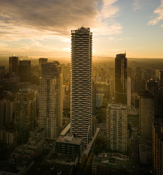 The Butterfly - Image 11